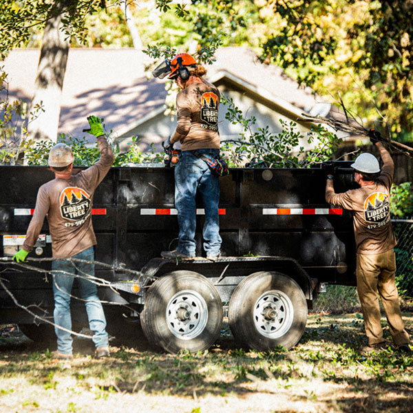 Liberty Tree Outdoors. Serving the Arkansas River Valley & Northwest Arkansas
